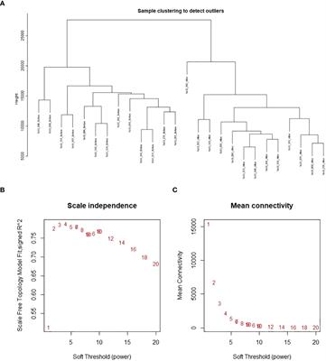 Identification of candidate regulators of the response to early heat stress in climate-adapted wheat landraces via transcriptomic and co-expression network analyses